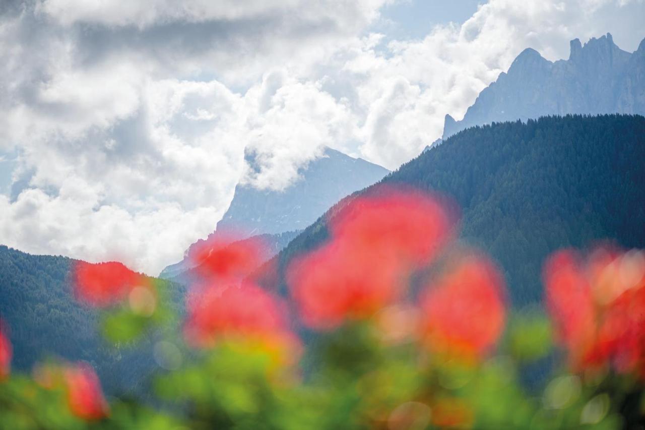 Mountain Residence Alpenhof - Company Hotel Alpenhof Kg Sas Der Gasser Renate Bressanone Zewnętrze zdjęcie